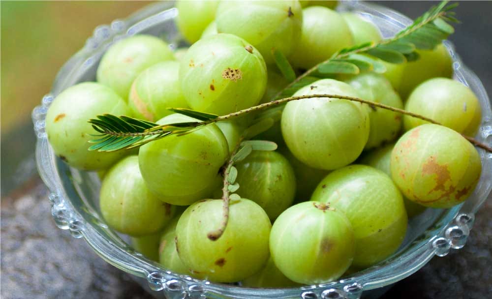 Amla for skin care