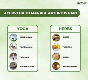 Ayurvedic Treatment for Arthritis: Does It Work?