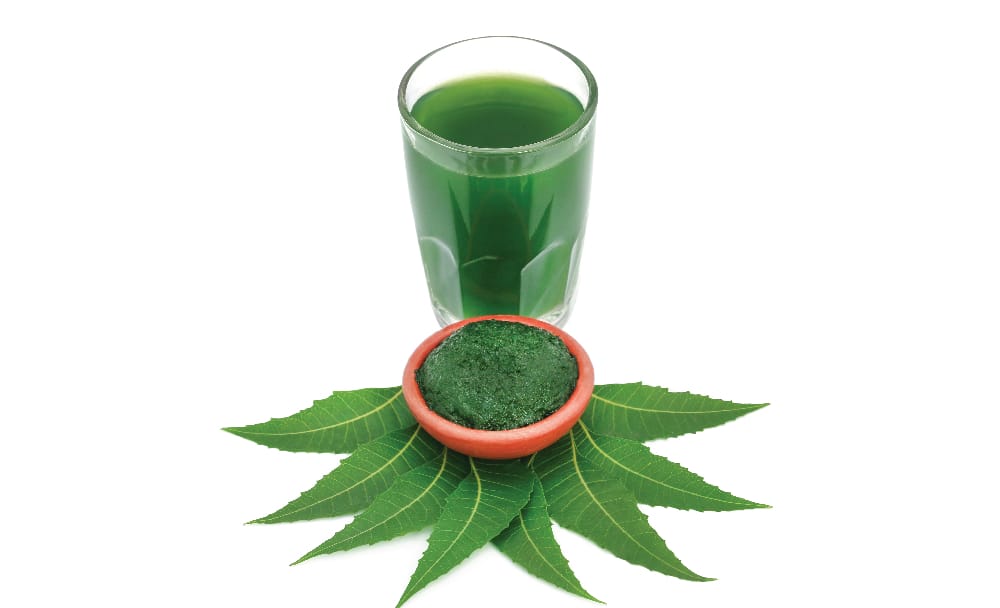 neem for detox