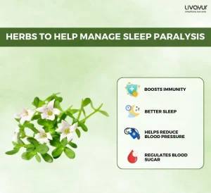 Sleep Better With Brahmi: The Herb of Grace