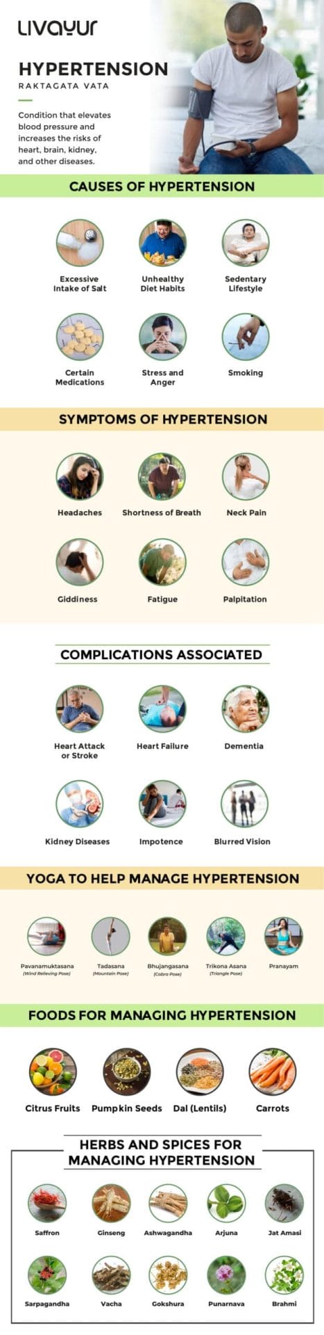 Hypertension Infographic Feedback addressed 1 1 scaled