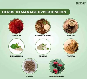 Manage Hypertension With Ayurveda