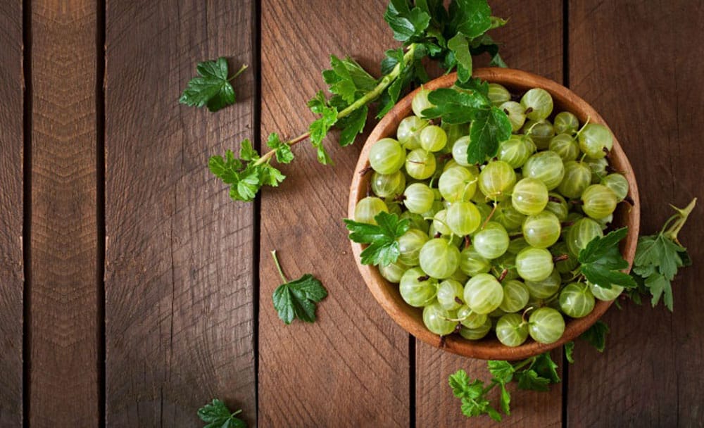 Ayurvedic Tips for Jaundice Treatment