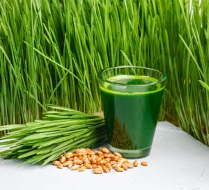 Health Benefits of Wheatgrass Juice