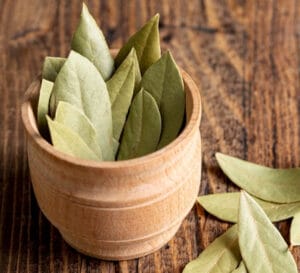 Bay Leaf: Uses, Benefits and Side Effects