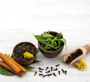 What Makes Kalamegha or Bhunimba Such an Important Ayurvedic Herb?