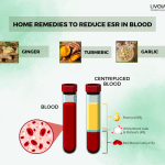 Home Remedies to Reduce ESR in Blood Naturally 1 1