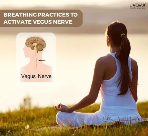 Breathing Practice to Activate your Vagus Nerve