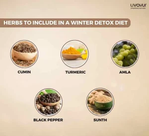 Does Ayurveda Advise Detox During Winter?