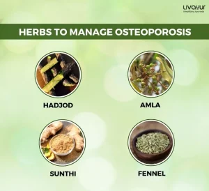 Strengthen Your Bones and Osteoporosis with Ayurveda