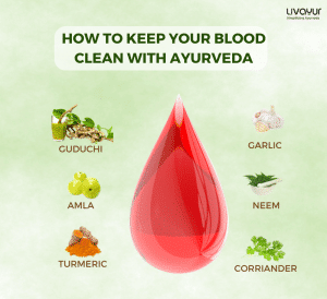 How To Keep Your Blood Clean With Ayurveda?