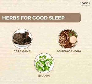 The Best Ayurvedic Herbs for Sleep and Relaxation