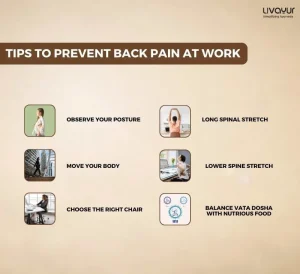 Back Pain at Work: Causes, Factors, and How to Prevent Back Pain