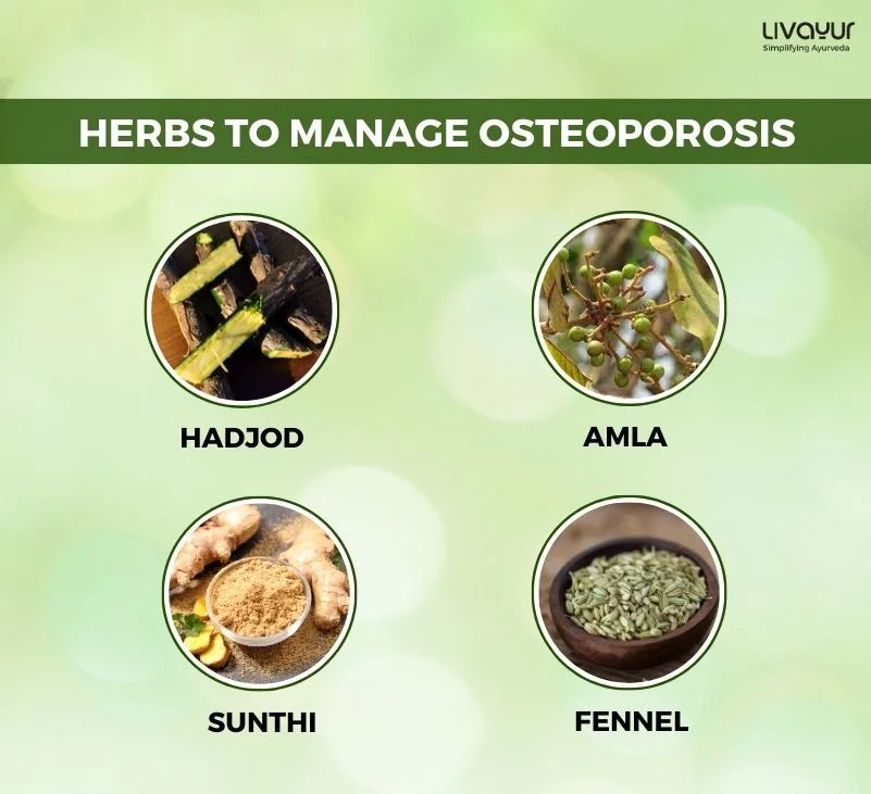 How to Strengthen Your Bone with Ayurvedic Herbs