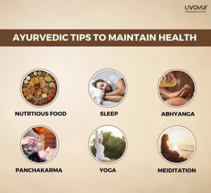 Simple Ayurvedic Tips for Senior Citizens to Maintain Health