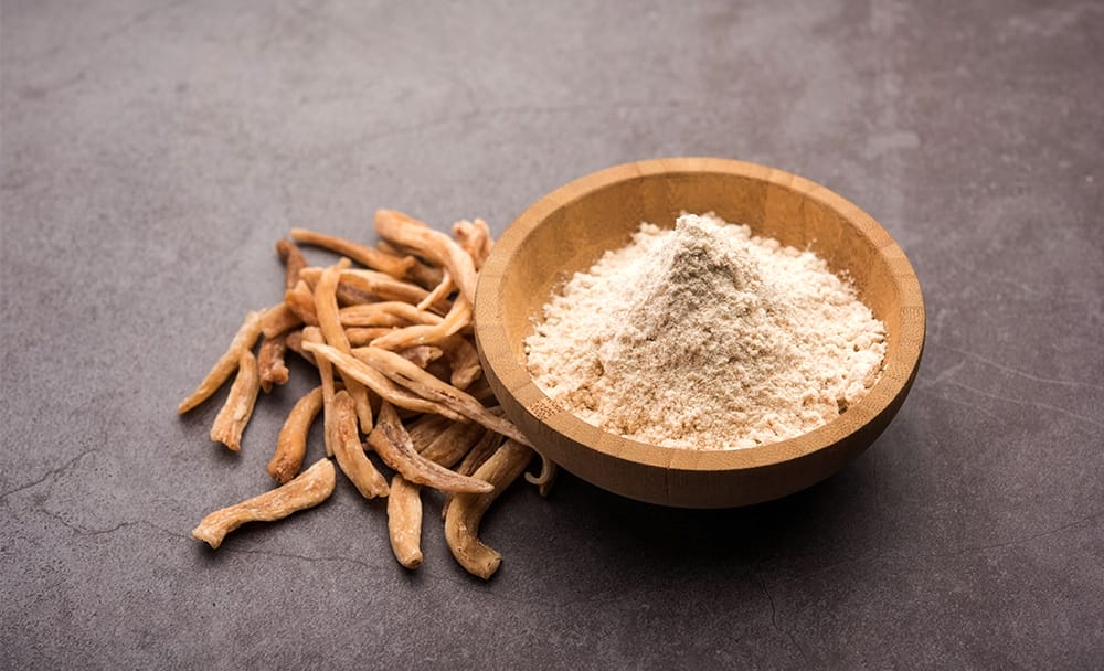 Musli Helps Increase Sexual Prowess Musli Helps Increase Sexual Prowess