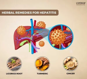 Hepatitis: Definition, Symptoms, Types, Causes, Treatment & more