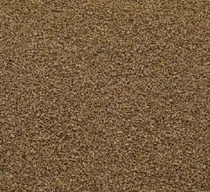 10 Surprising Health Benefits of Ajwain