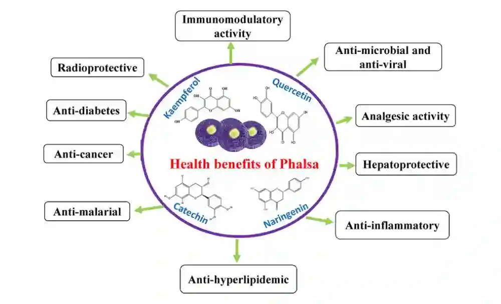 falsa fruit nutrition