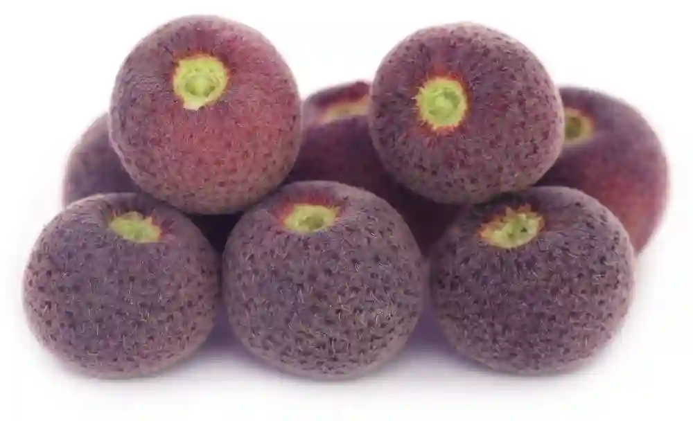 falsa fruit benefits