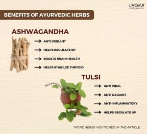 Ayurvedic Herbs with Science Backed Benefits