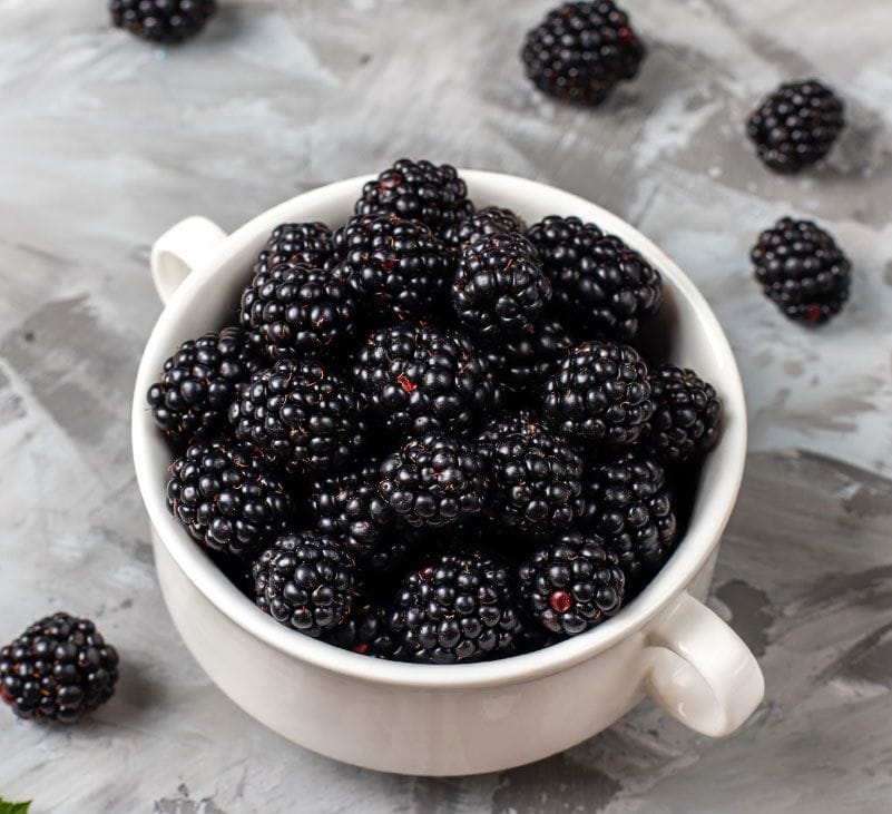 blackberry fruit - livayur