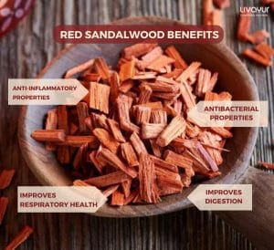 Red Sandalwood: Uses, Benefits, Side Effects