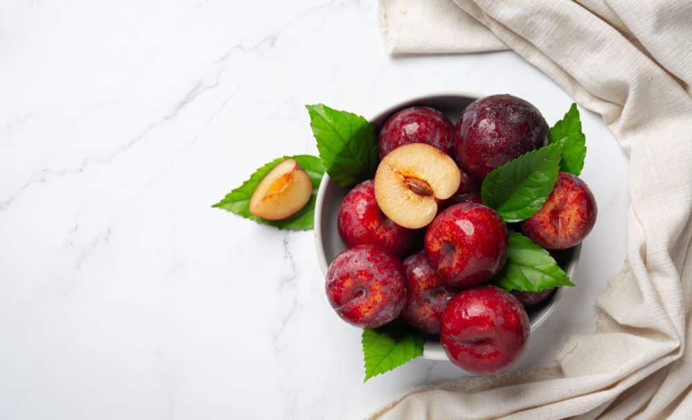 jujube fruit - livayur