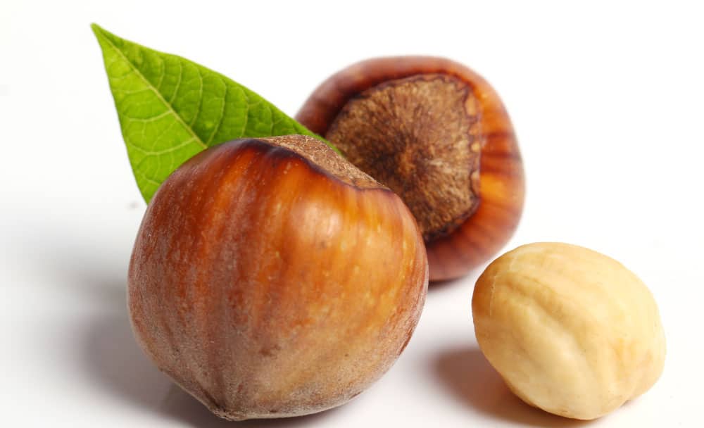 water chestnuts - livayur