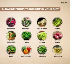 12 Top alkaline Foods to Include in your Diet