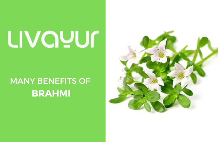 Brahmi For Mind And Body Thumbnail