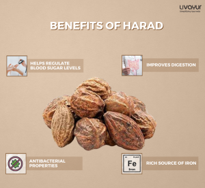 Harad: Benefits, Uses, Side Effects, How to Consume & More