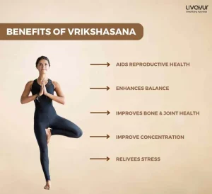 Vrikshasana: Benefits of Vrikshasana & How To Do It Step by Step