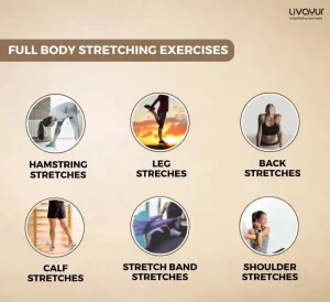 15 Best Full Body Stretching Exercises