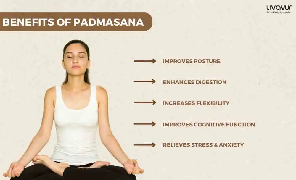 Padmasana (Lotus Pose) Benefits, How to Do it and Precautions Padmasana Lotus Pose Benefits How to Do it and Precautions