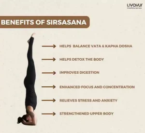Sirsasana ( Headstand): Benefits & How to do Sirsasana Step by Step