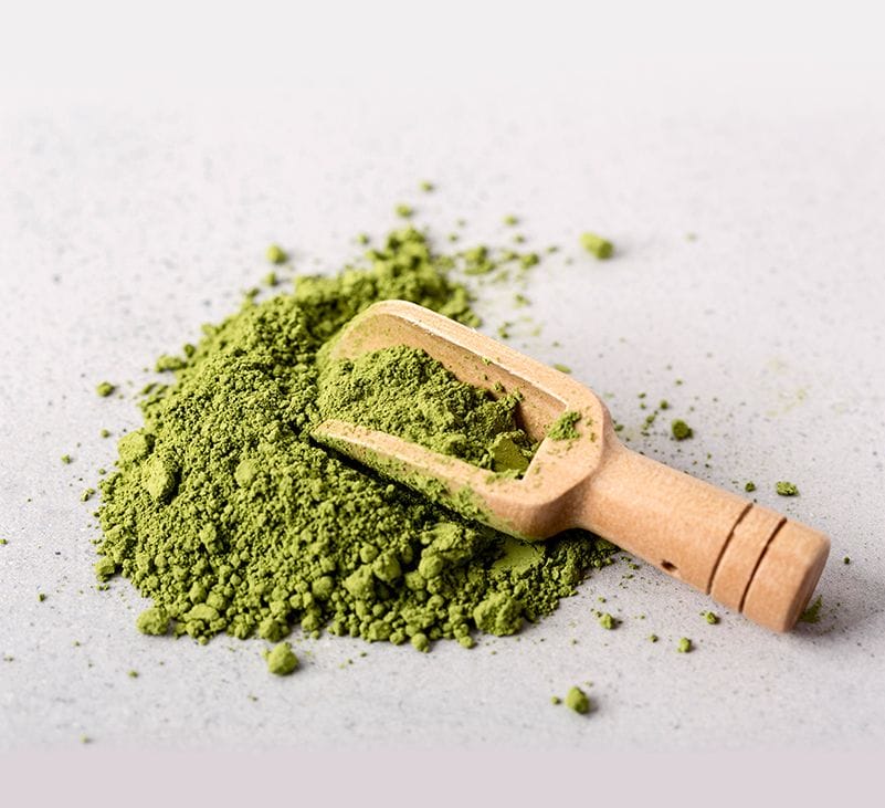 moringa powder benefits - livayur