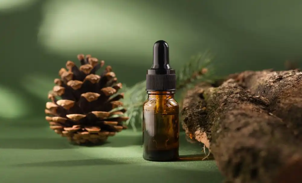 pine bark extract
