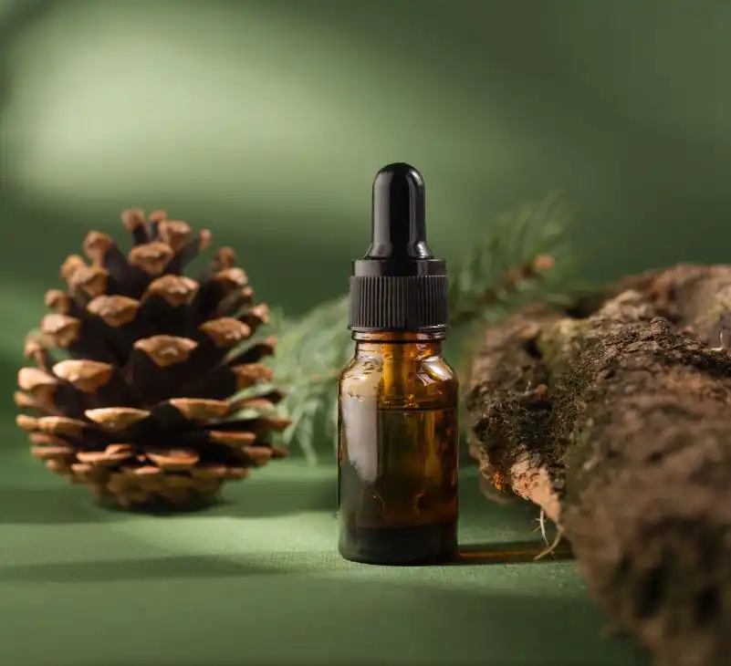 Pine Bark Extract: Benefits, Uses, Dosage, Precautions, Side Effects & More