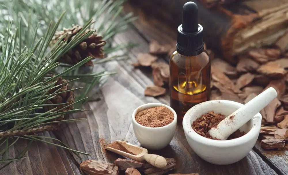 pine bark benefits