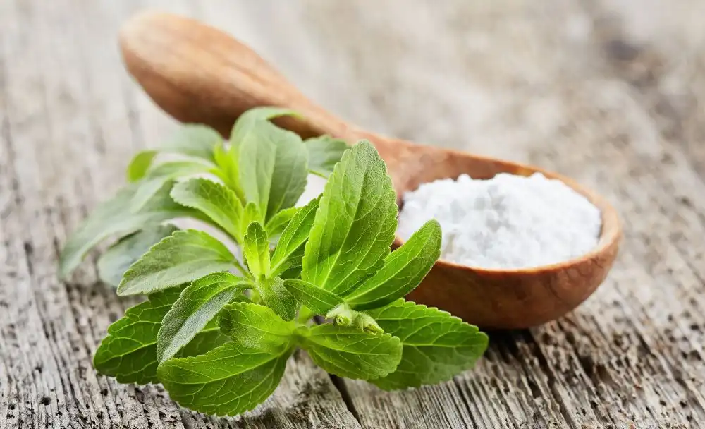 Stevia Benefits