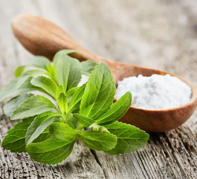 Stevia Benefits