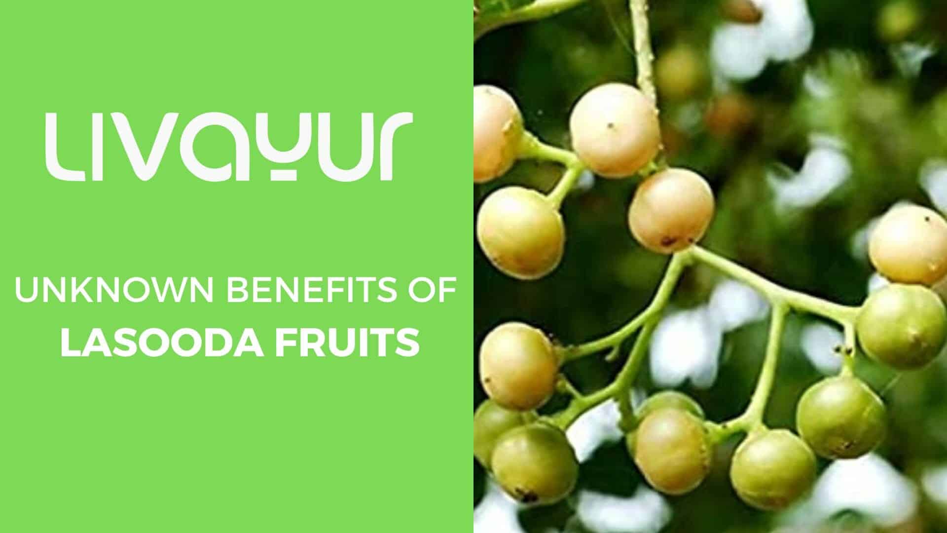 Get To Know About The Health Benefits Of Lasoda Fruit And How To Consume It Thumbnail