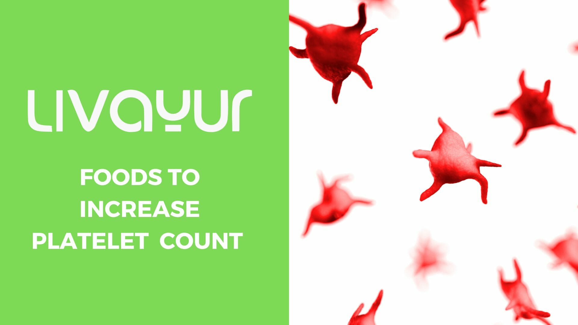 Foods to Increase Platelet Count Naturally Thumbnail