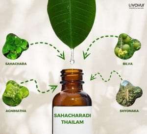 Sahacharadi Thailam: Uses, Benefits & More