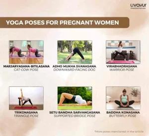 Top 12 Best Yoga Poses for Pregnant Women