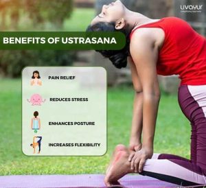 Ustrasana ( Camel Pose ): Benefits & How to do it Step by Step