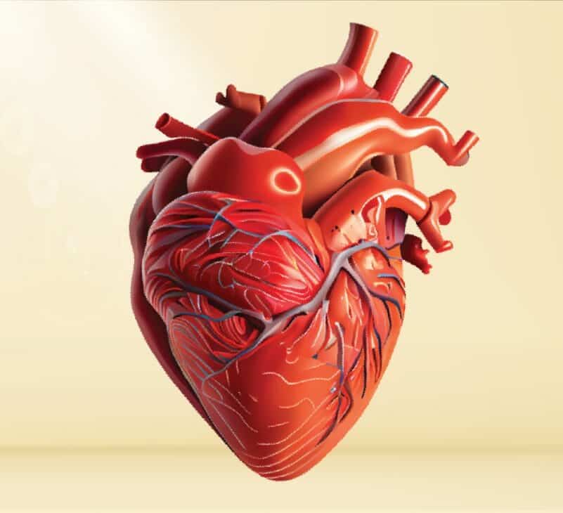 Ayurvedic Guidelines on Prevention of Cardiac Disorders (Download Ebook)