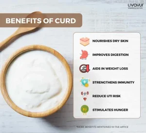 20 Proven Benefits of Curd for Overall Health