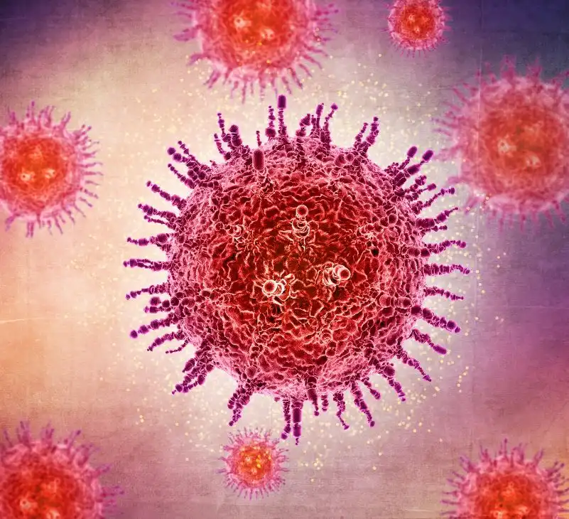 bacteria v/s viruses